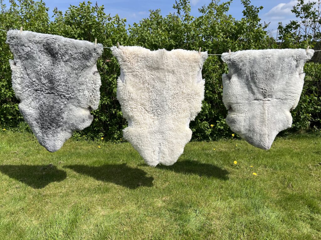 lammskinn Linneas Trädgårdsservice